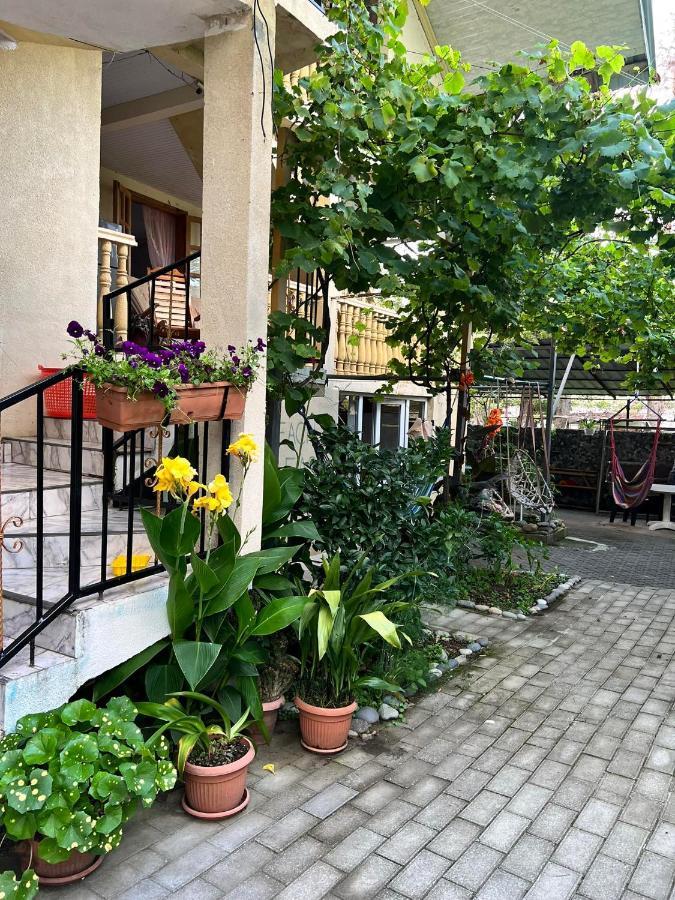 Guest House Mari Ureki Bagian luar foto